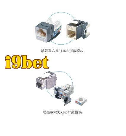 Module RJ45 loại 6