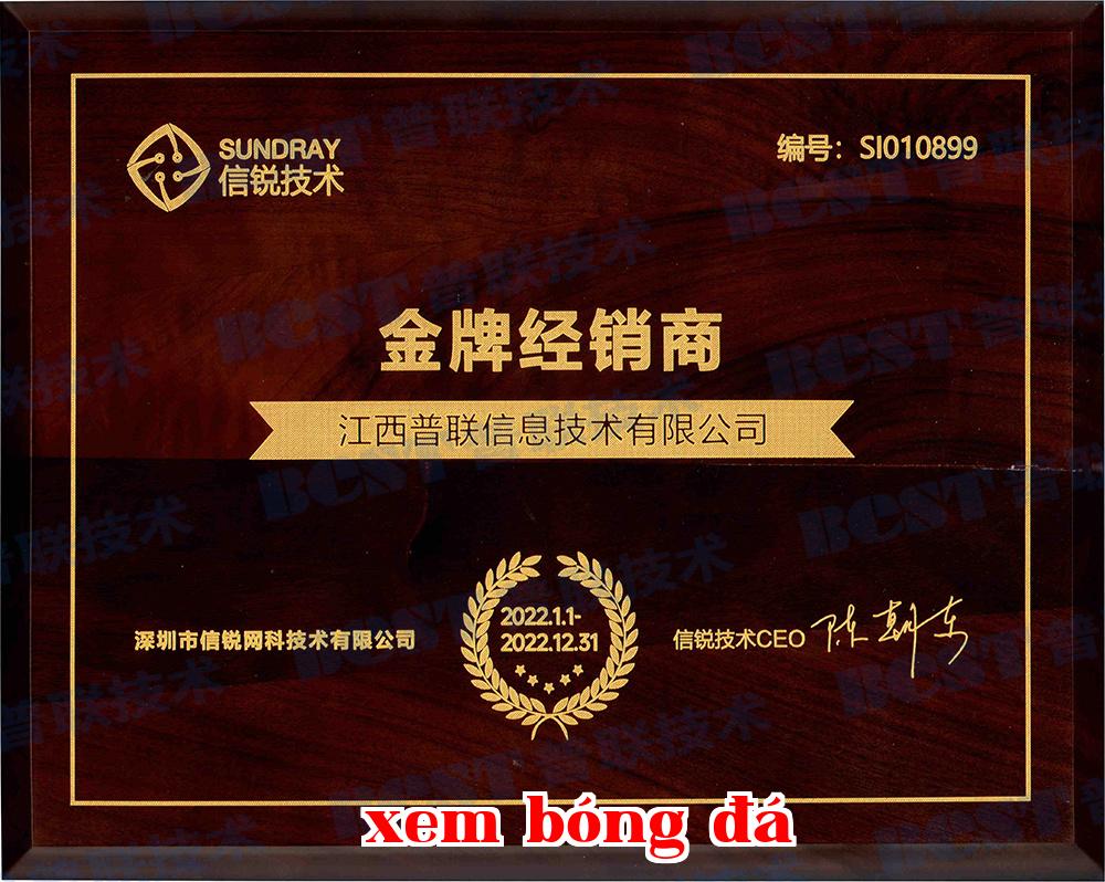 Bằng khen đại lý vàng của Xinruyear năm 2022 Bằng khen đại lý vàng của Xinruyear năm 2022