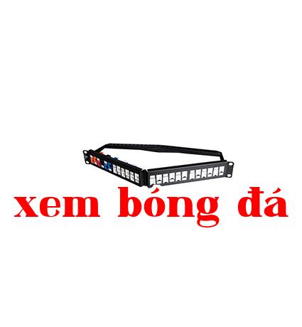 Giá phân phối khôngshielding góc 24 cổng