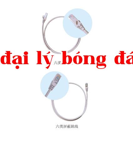 Cáp nhảy loại 6
