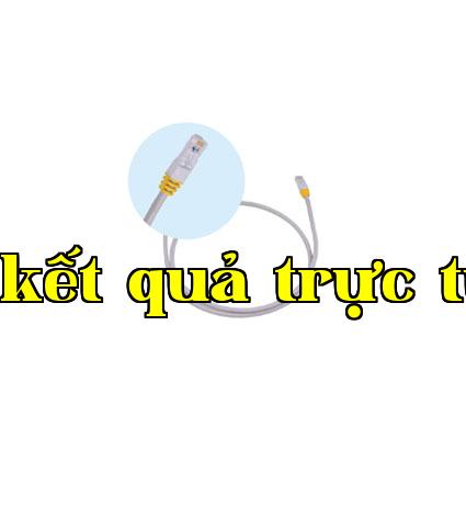 Dây nhảy không shielded tăng cường loại 6