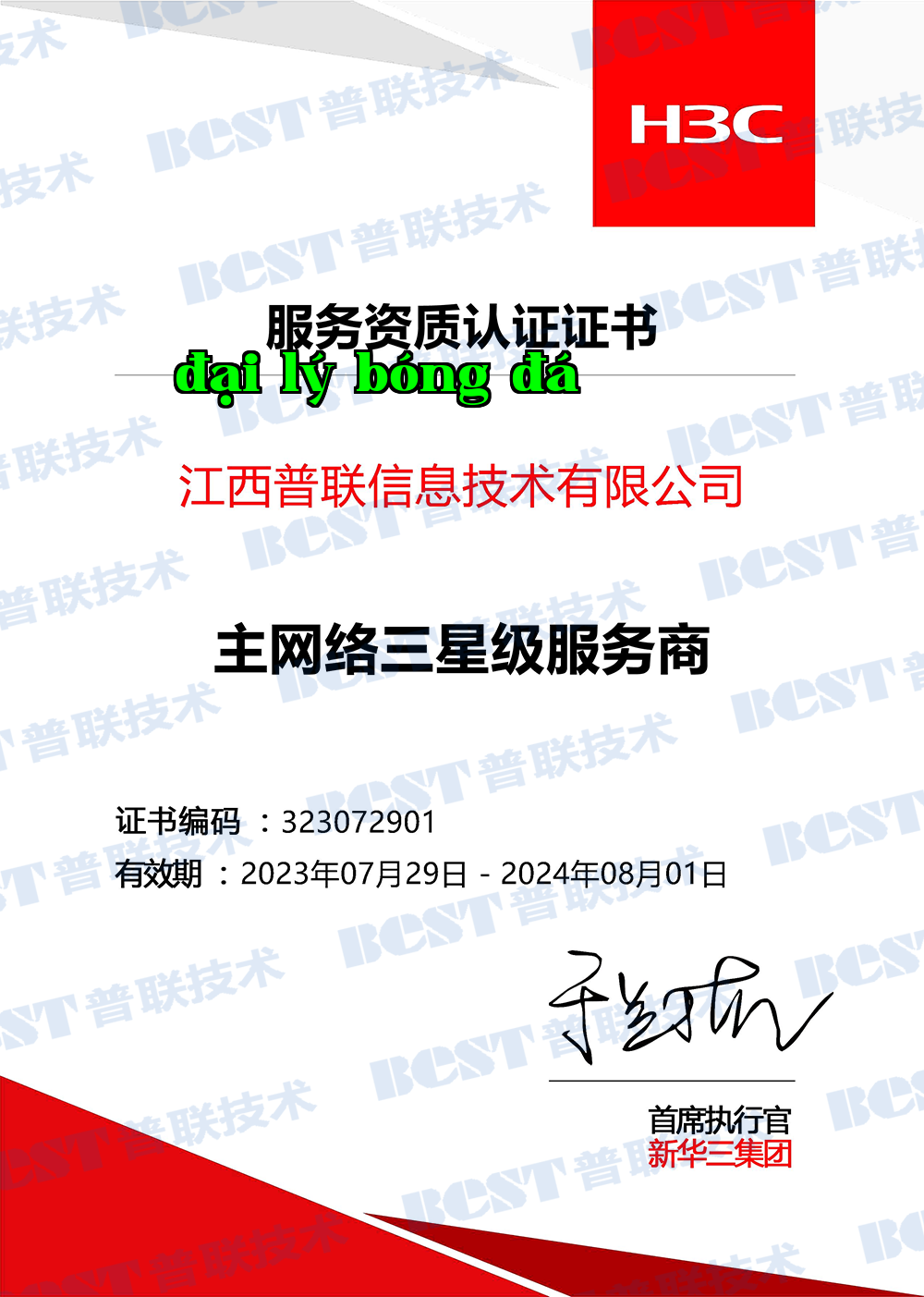 Nhà cung cấp dịch vụ mạng chính cấp ba sao